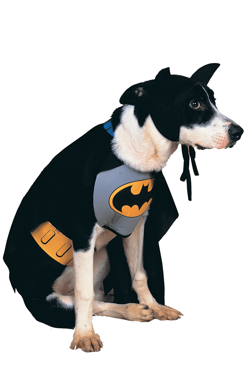 Costume da cane Batman
