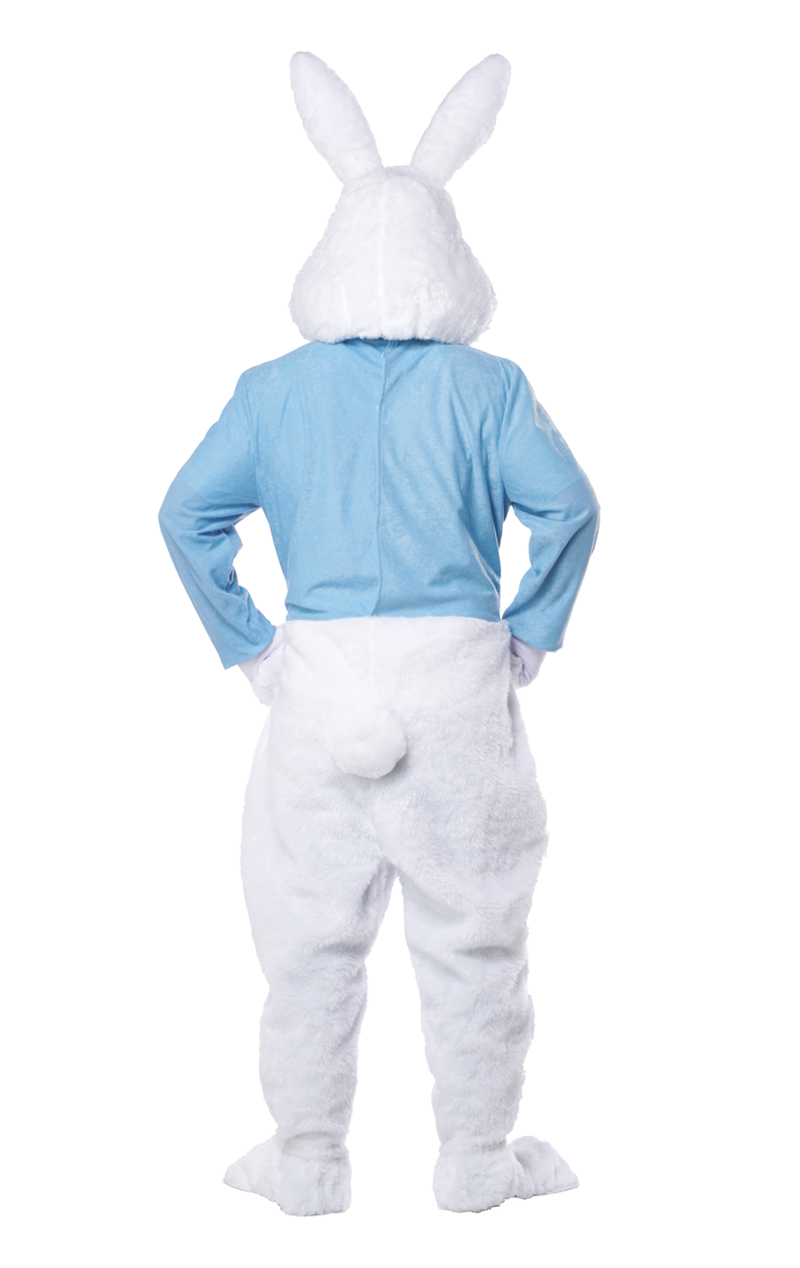 Costume da coniglietto pasquale