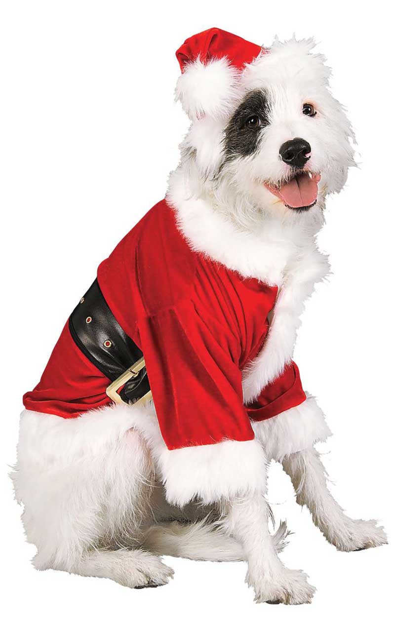 Santa Claus Pet Costume - Joke.co.uk