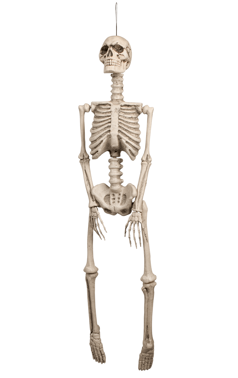 Decorazione scheletro