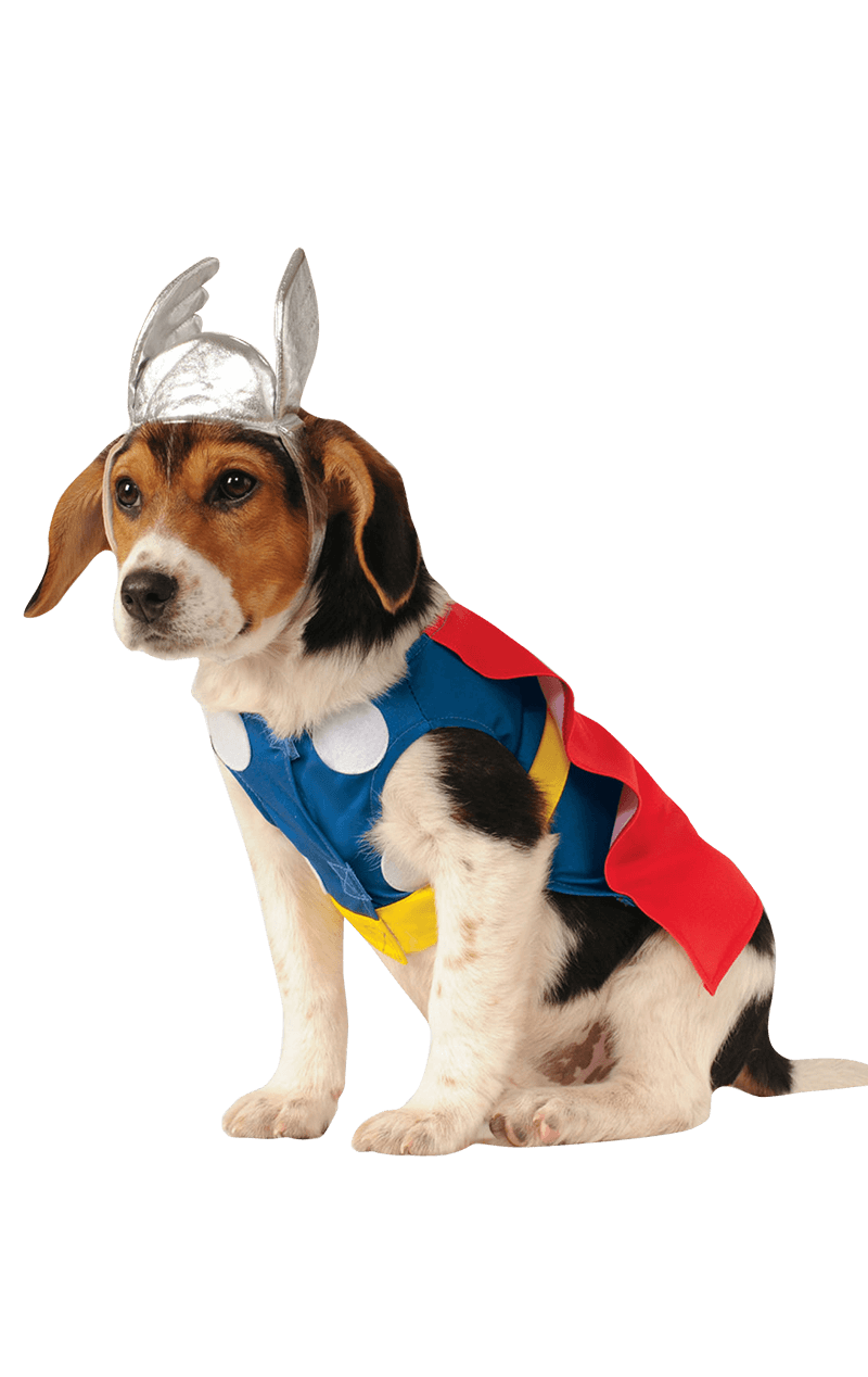 Costume da cane Thor