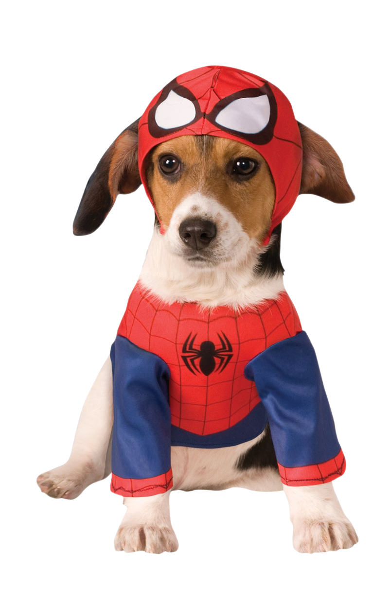 Costume da cane Spider-Man