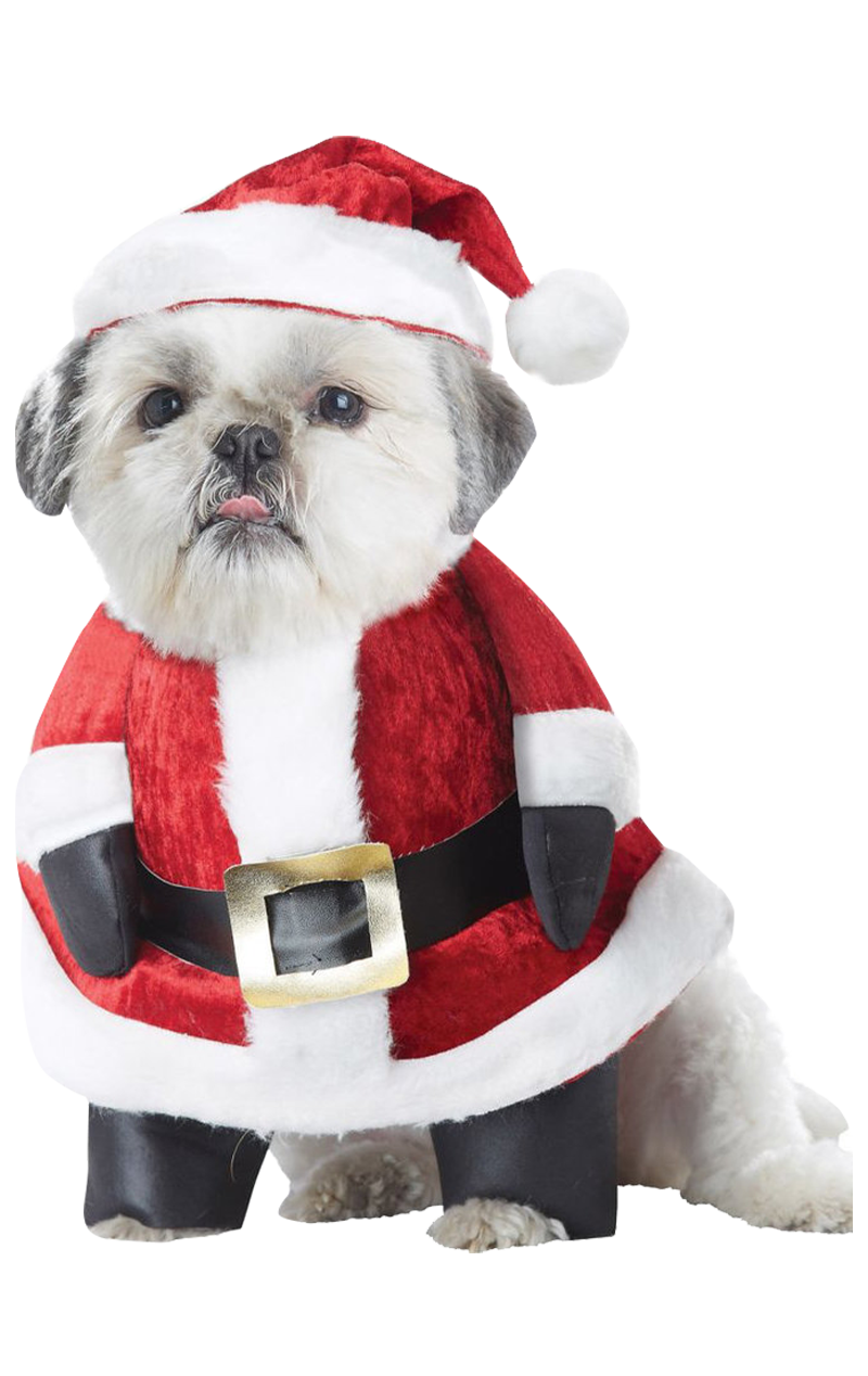 Costume da cane di Natale con le zampe di Babbo Natale