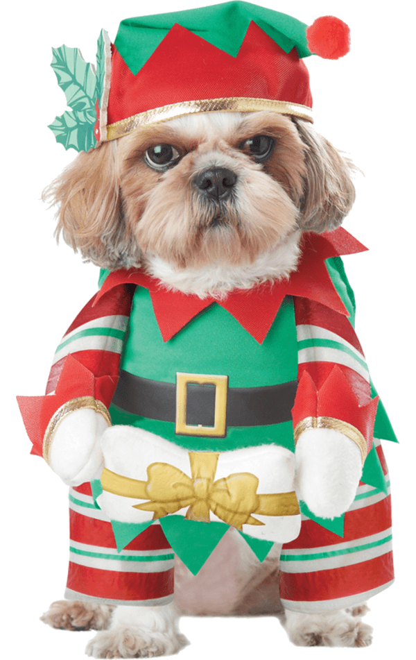 Costume da cane da cucciolo di elfo