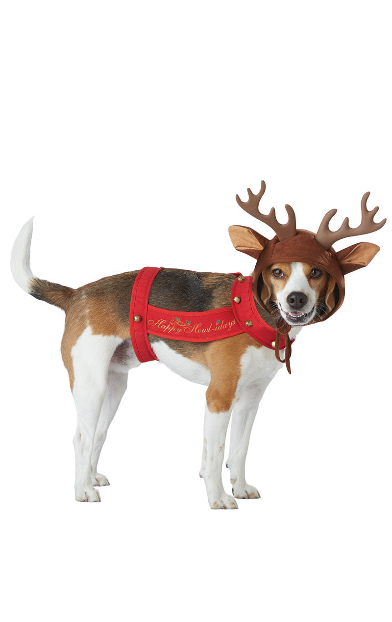 Costume da cane renna