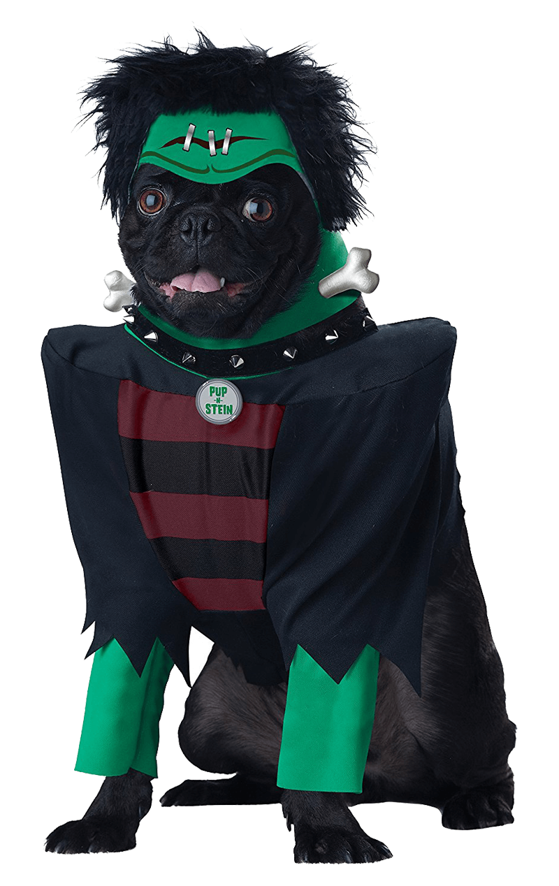 Costume da cane Frankenpup