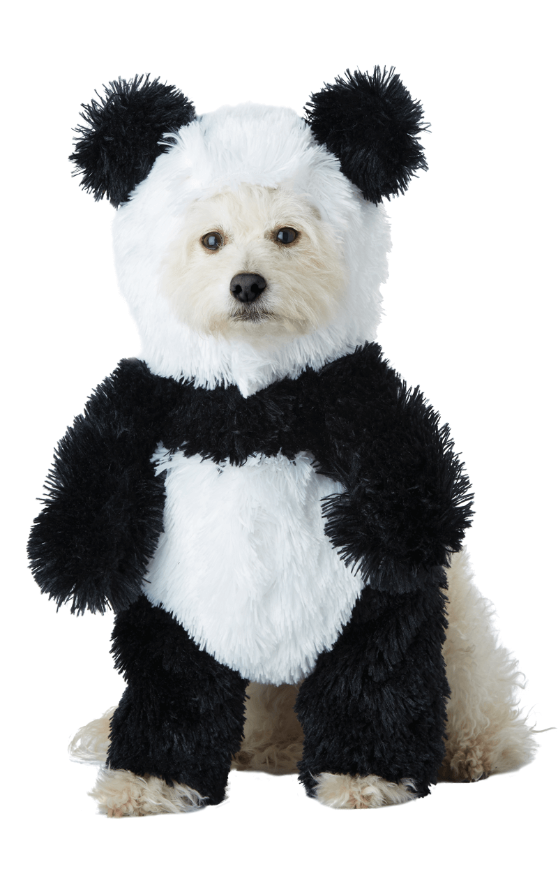 Costume da cagnolino panda