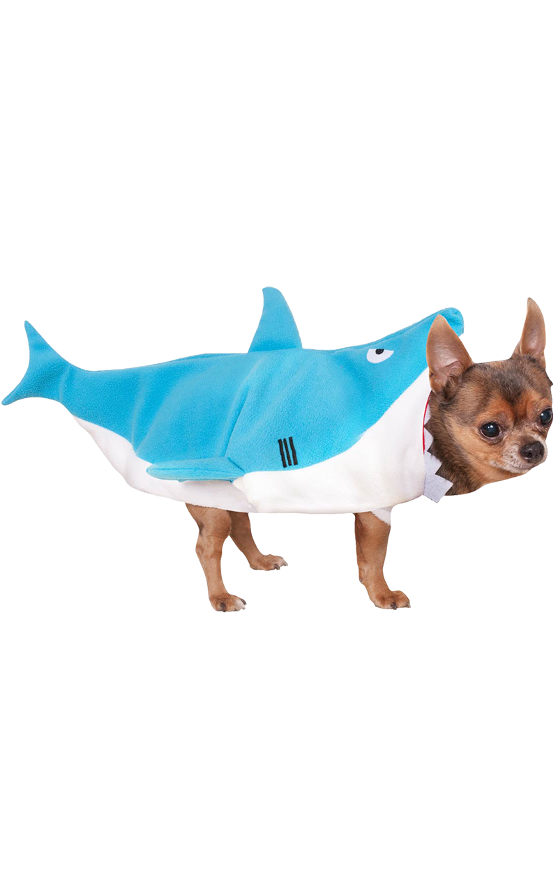 Costume da cane squalo abbaiato