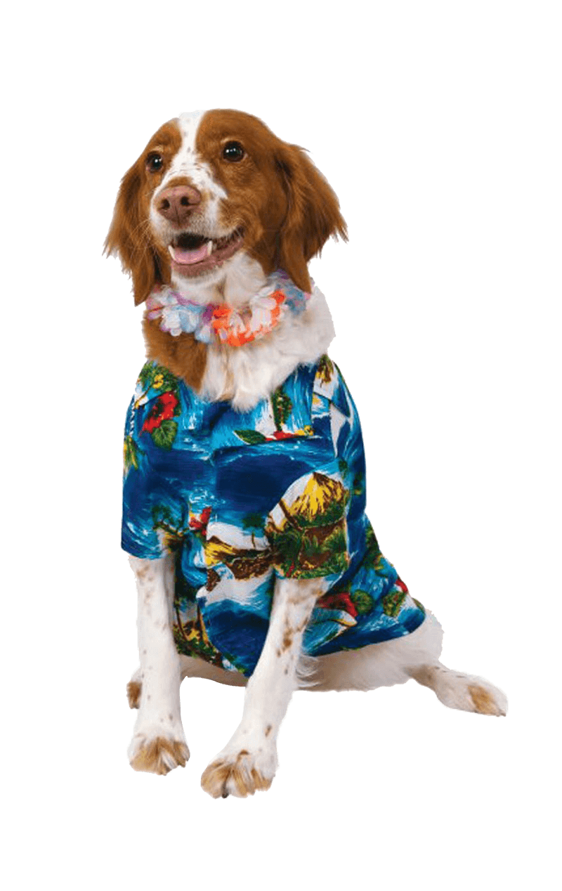 Costume da cane hawaiano Howliday