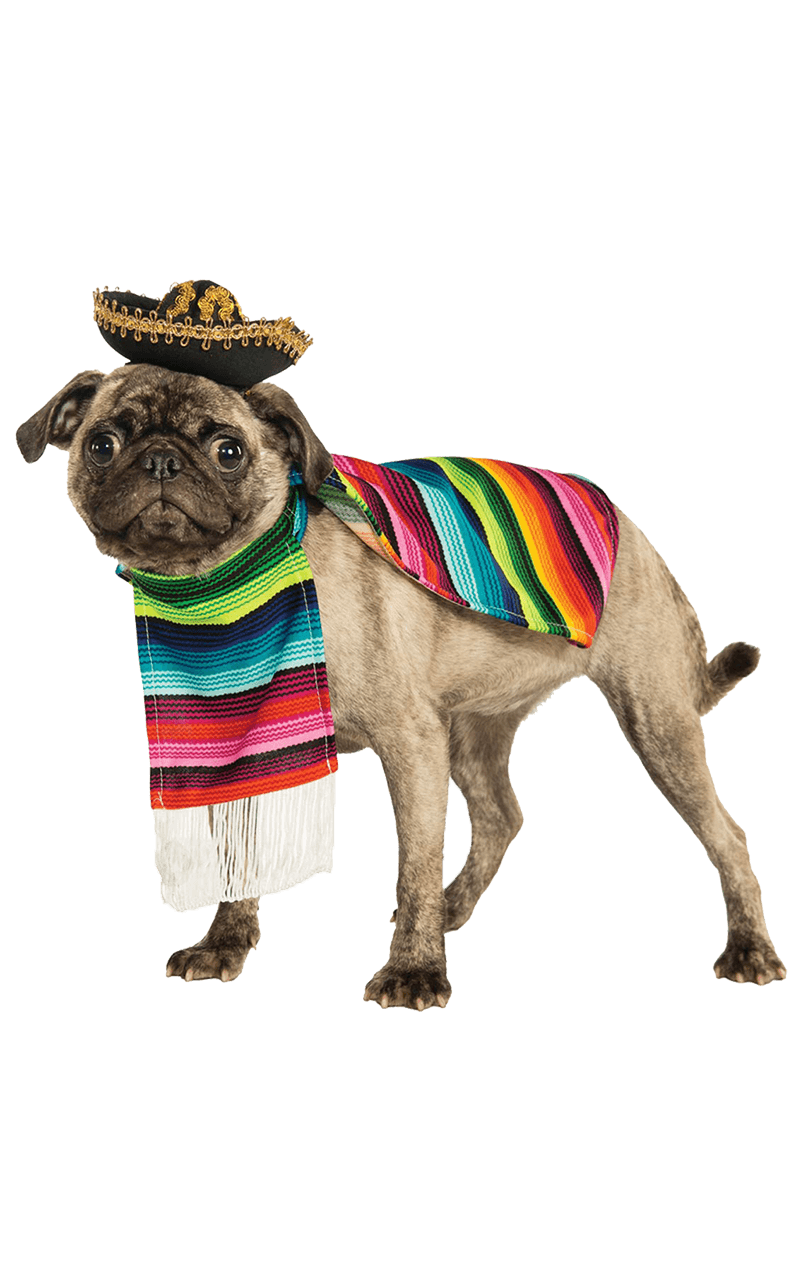 Costume da cane messicano