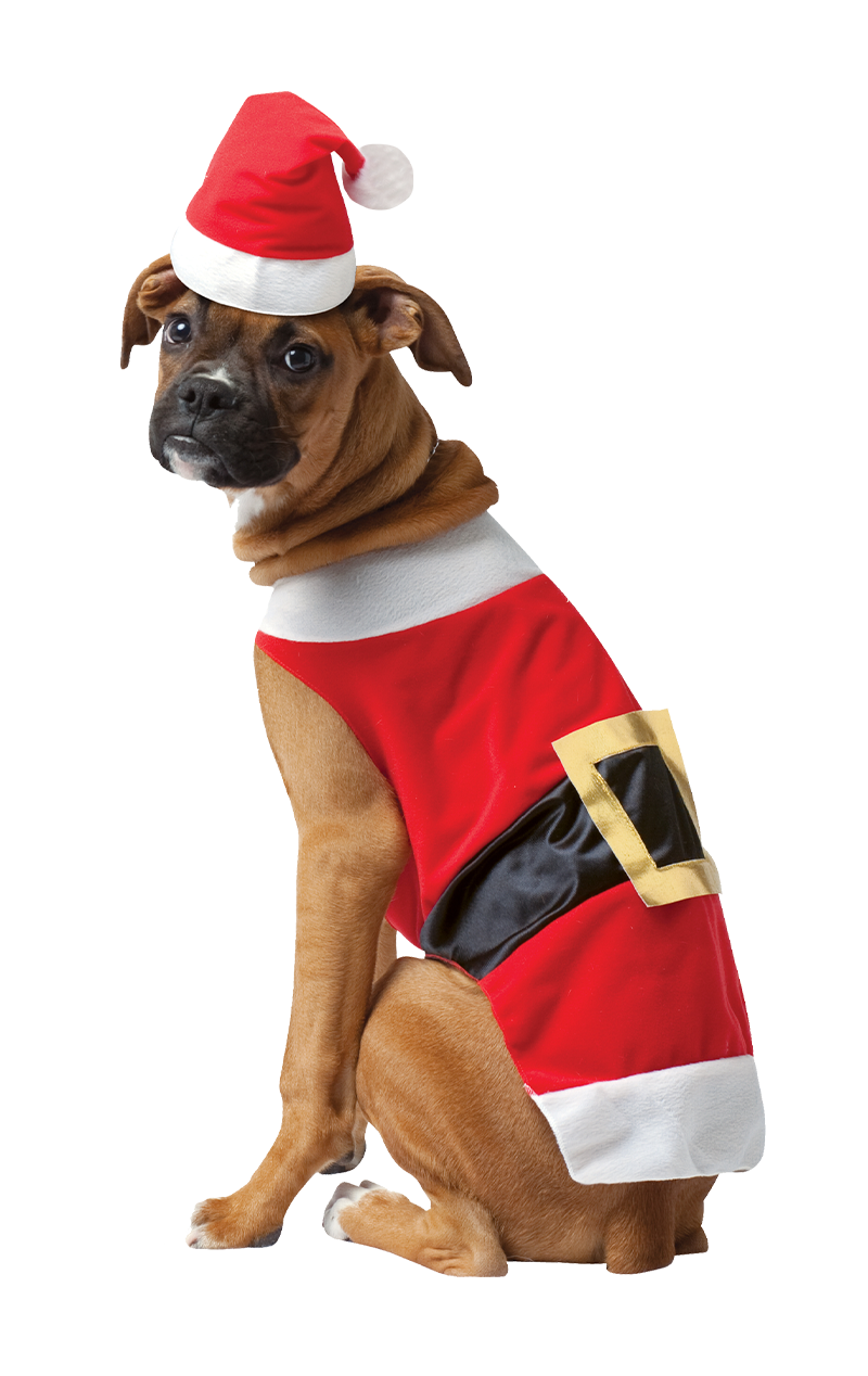 Costume da cane di Natale con Babbo Natale